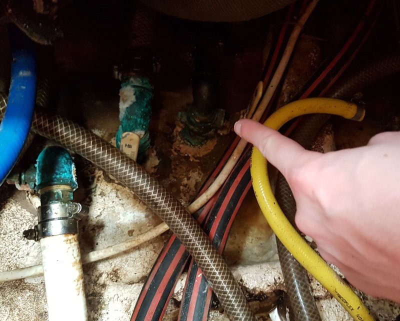 Pre-purchase Survey Report